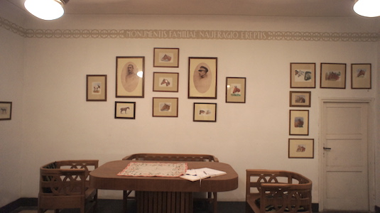 Image gallery image